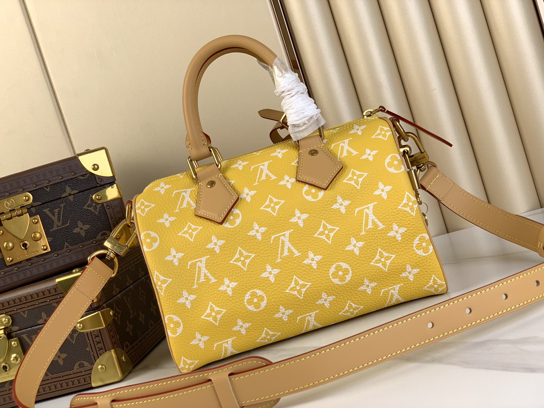 LV SPEEDY BANDOULIÈRE25 M24426