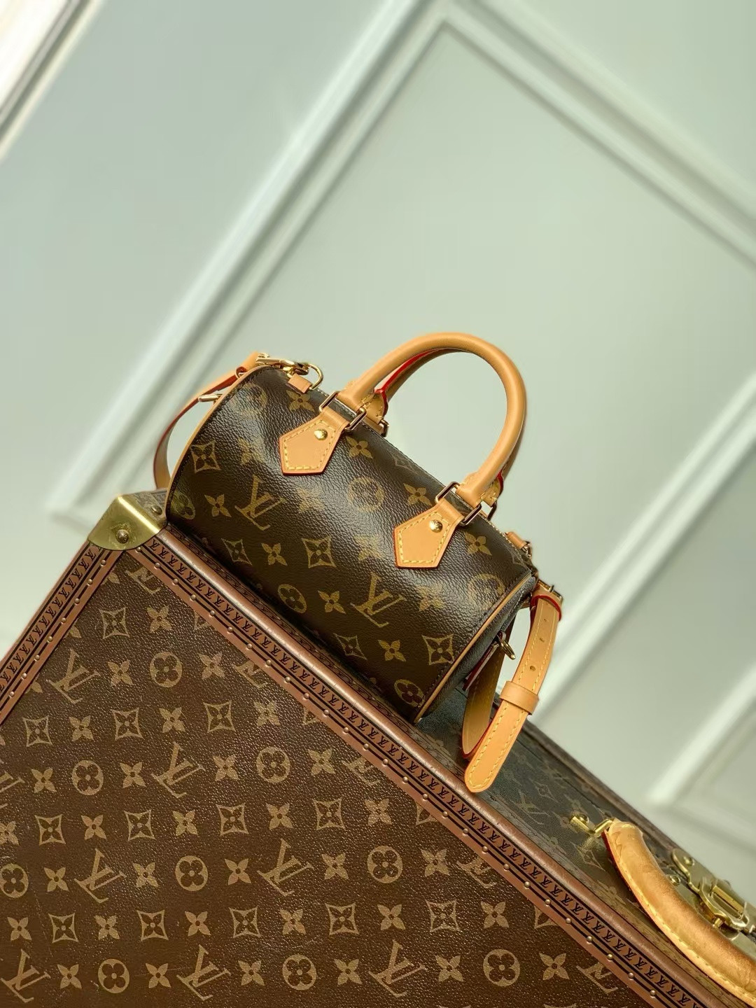 LV Nano Speedy Dating M13226 18 x 10.5 x 11.5 cm