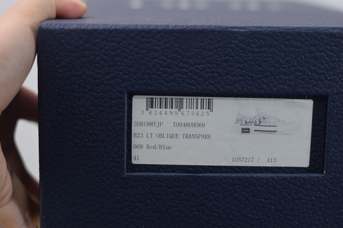 DR B23 OBLIQUE LOW TOP “CD Ghosting"