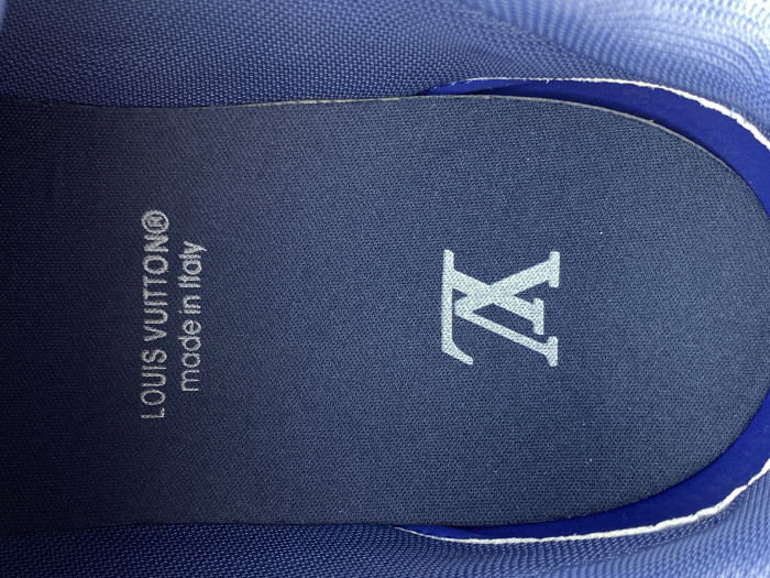 Loui Vuitto LV Skate Sneaker