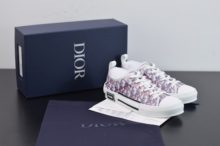 DR B23 OBLIQUE LOW TOP “CD Ghosting"