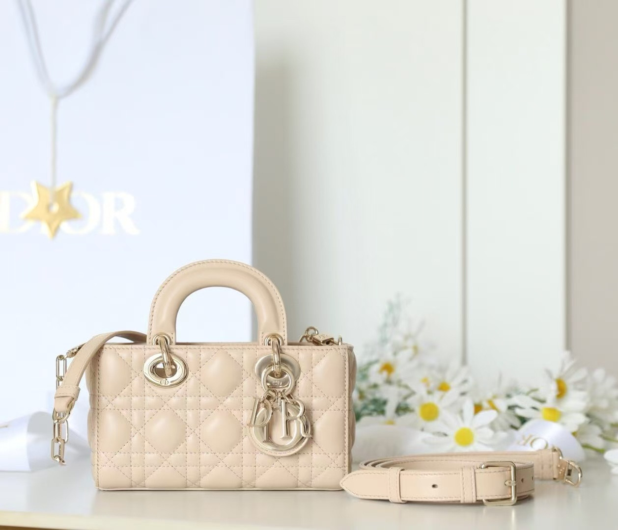 Dior Mini Lady D-Joy Bag 19x10.5x5.5cm