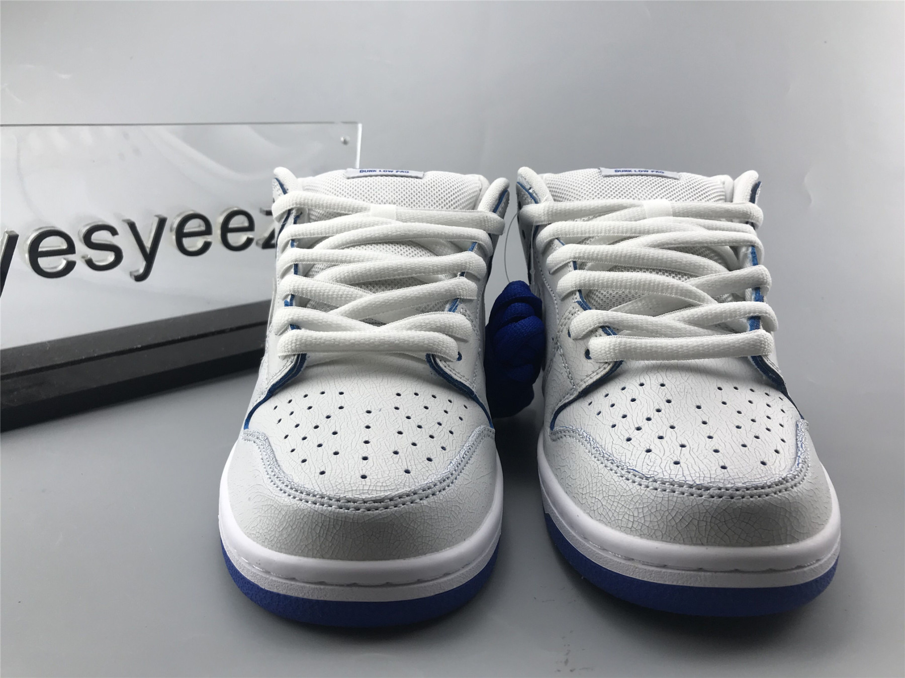 UA NIKE DUNK LOW PREMIUM SB 