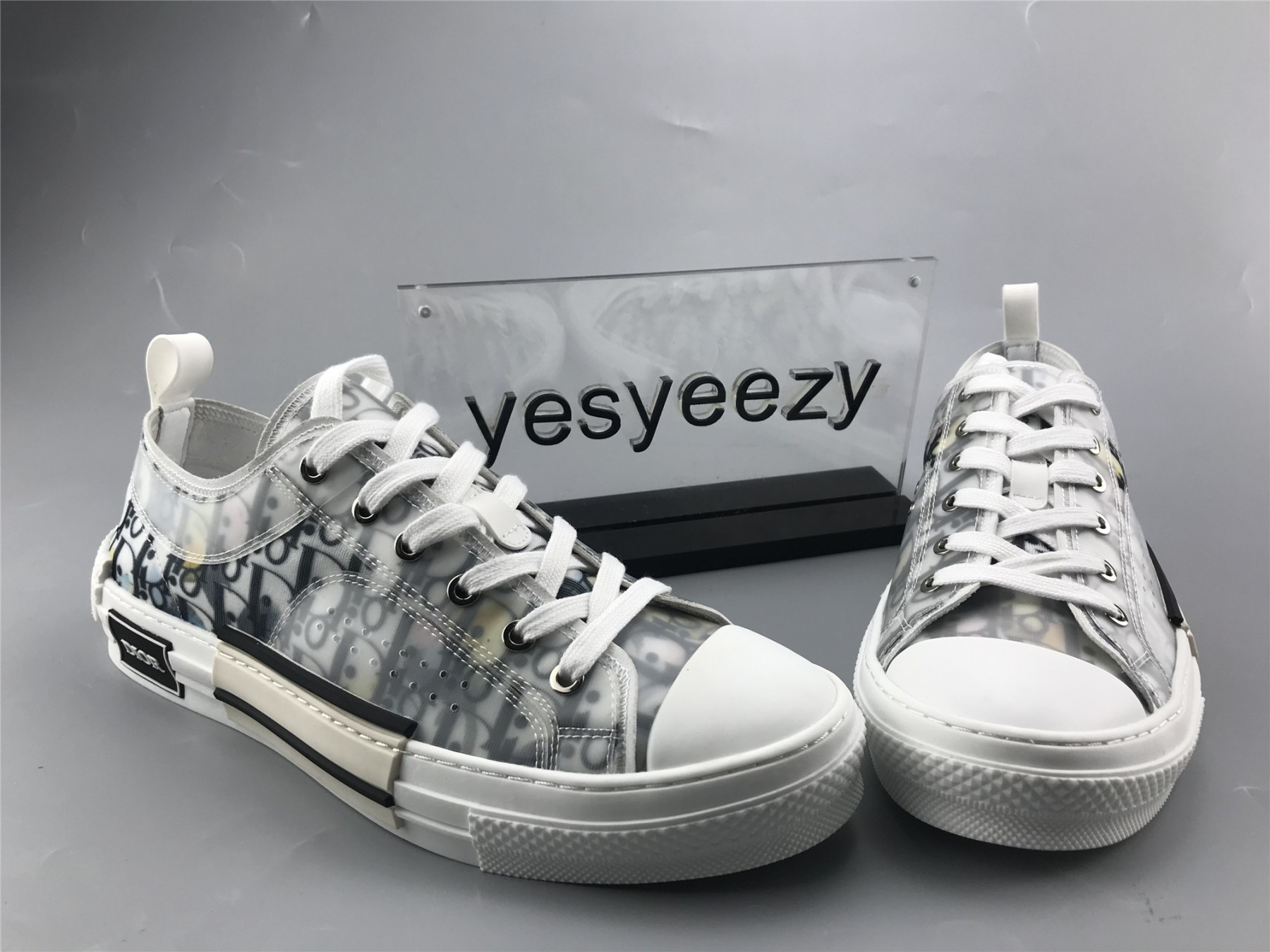 UA Dior B23 LOW TOP ALEX FOXTON OBLIQUE