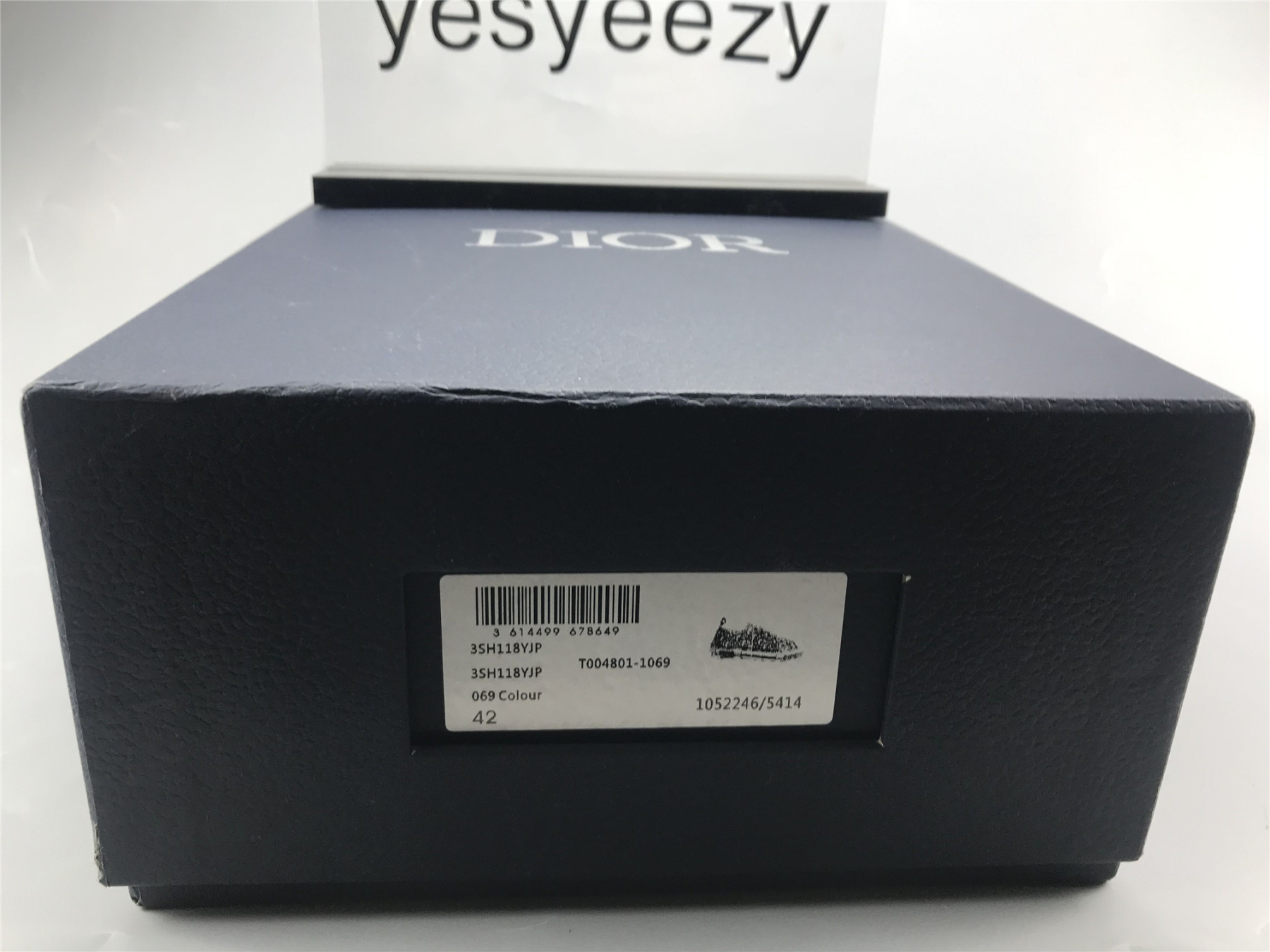 UA Dior B23 LOW TOP ALEX FOXTON OBLIQUE