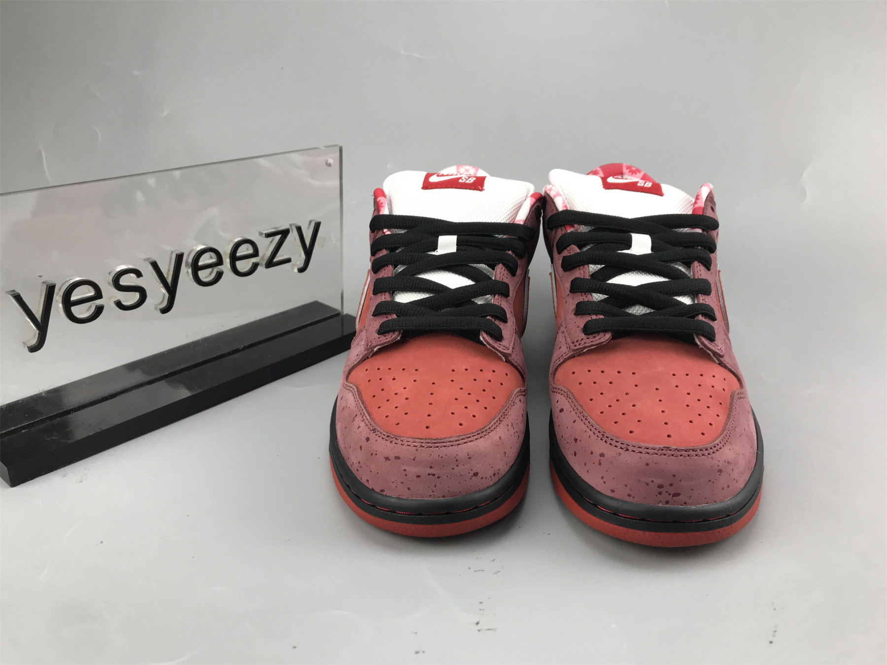 UA NIKE DUNK LOW PREMIUM SB 