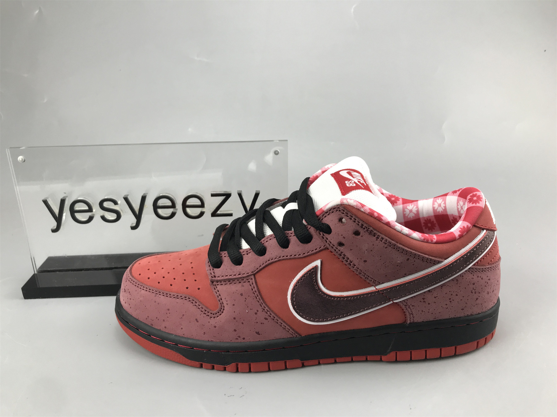 UA NIKE DUNK LOW PREMIUM SB 