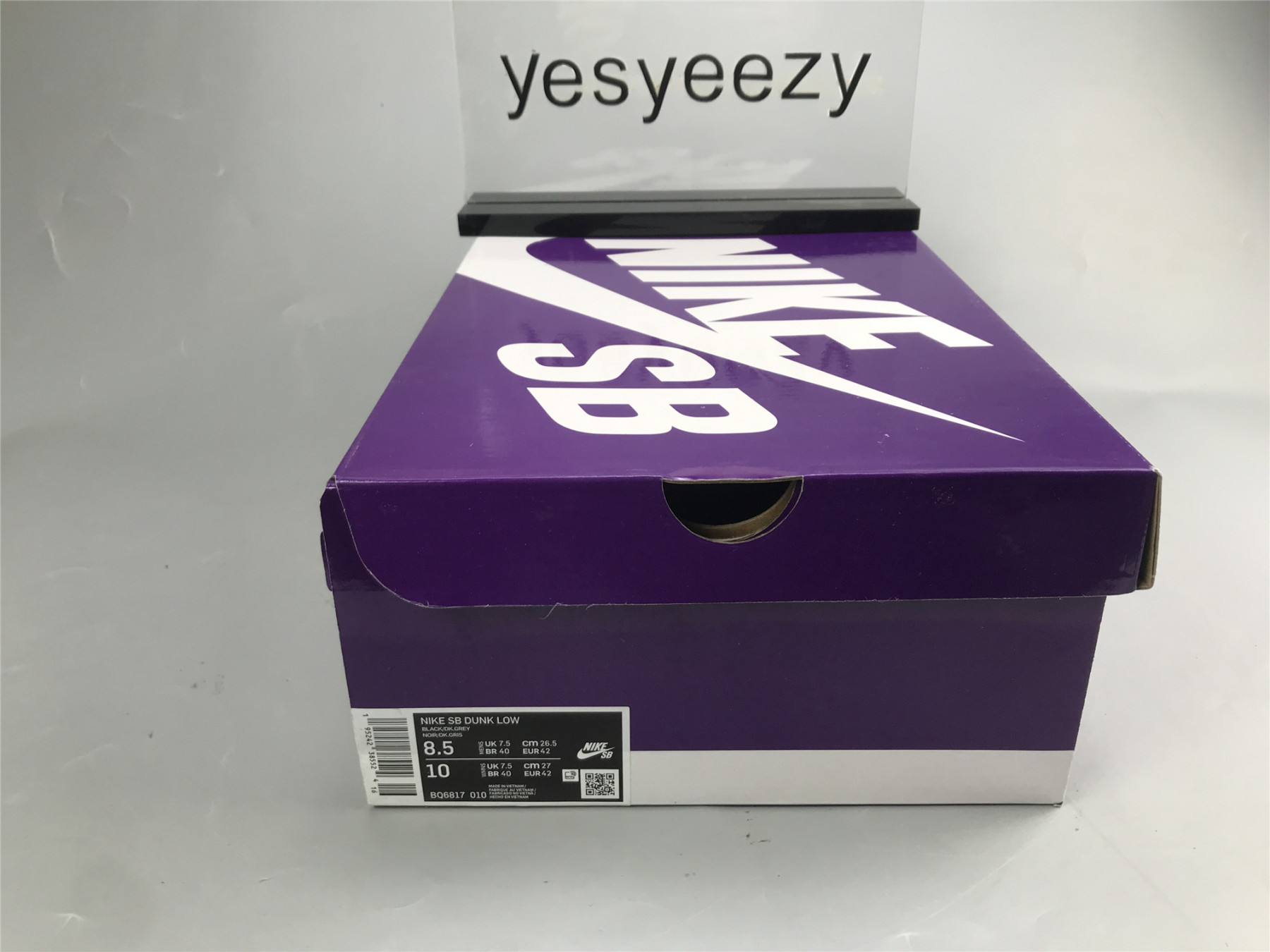 UA NIKE DUNK LOW PRO SB 