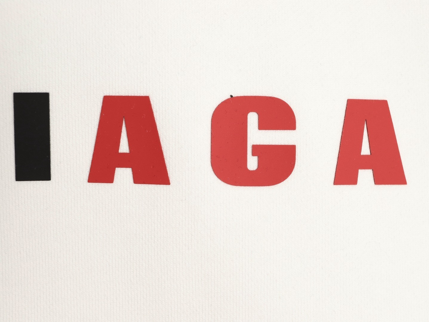 Ba1en*iaga 25FW Hoodies