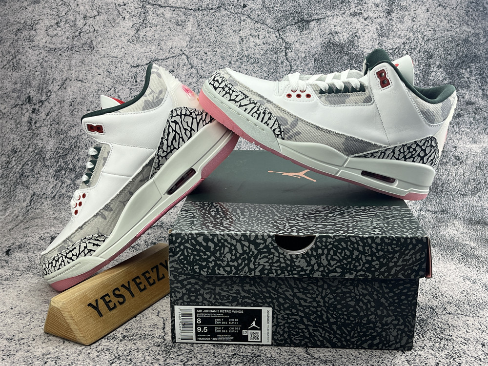 UA Jordan 3 Retro Wings