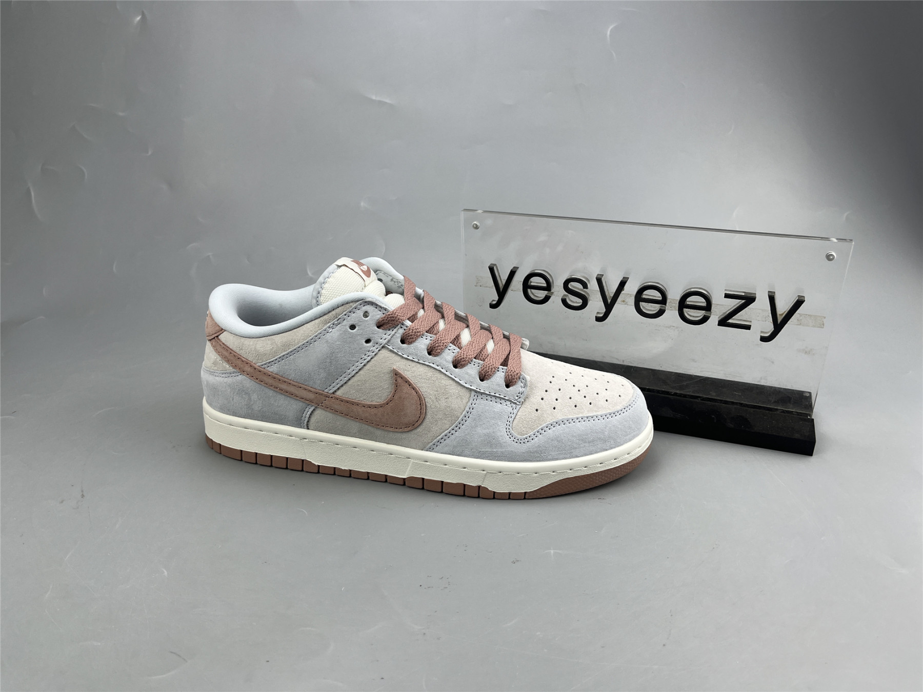 UA NIKE DUNK LOW RETRO PREMIUM 