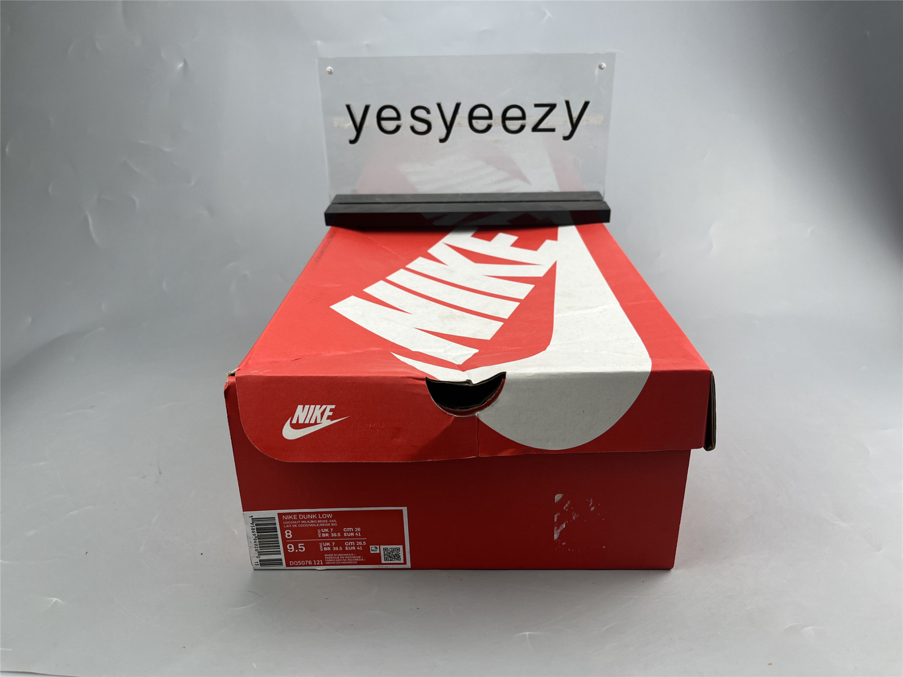 UA NIKE WMNS DUNK LOW 