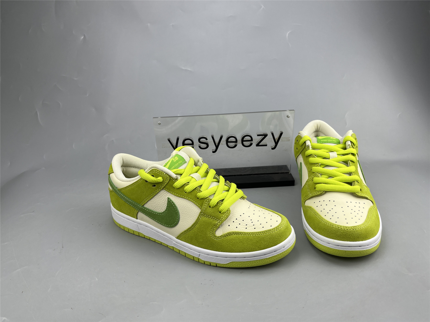 UA NIKE DUNK LOW PRO SB 