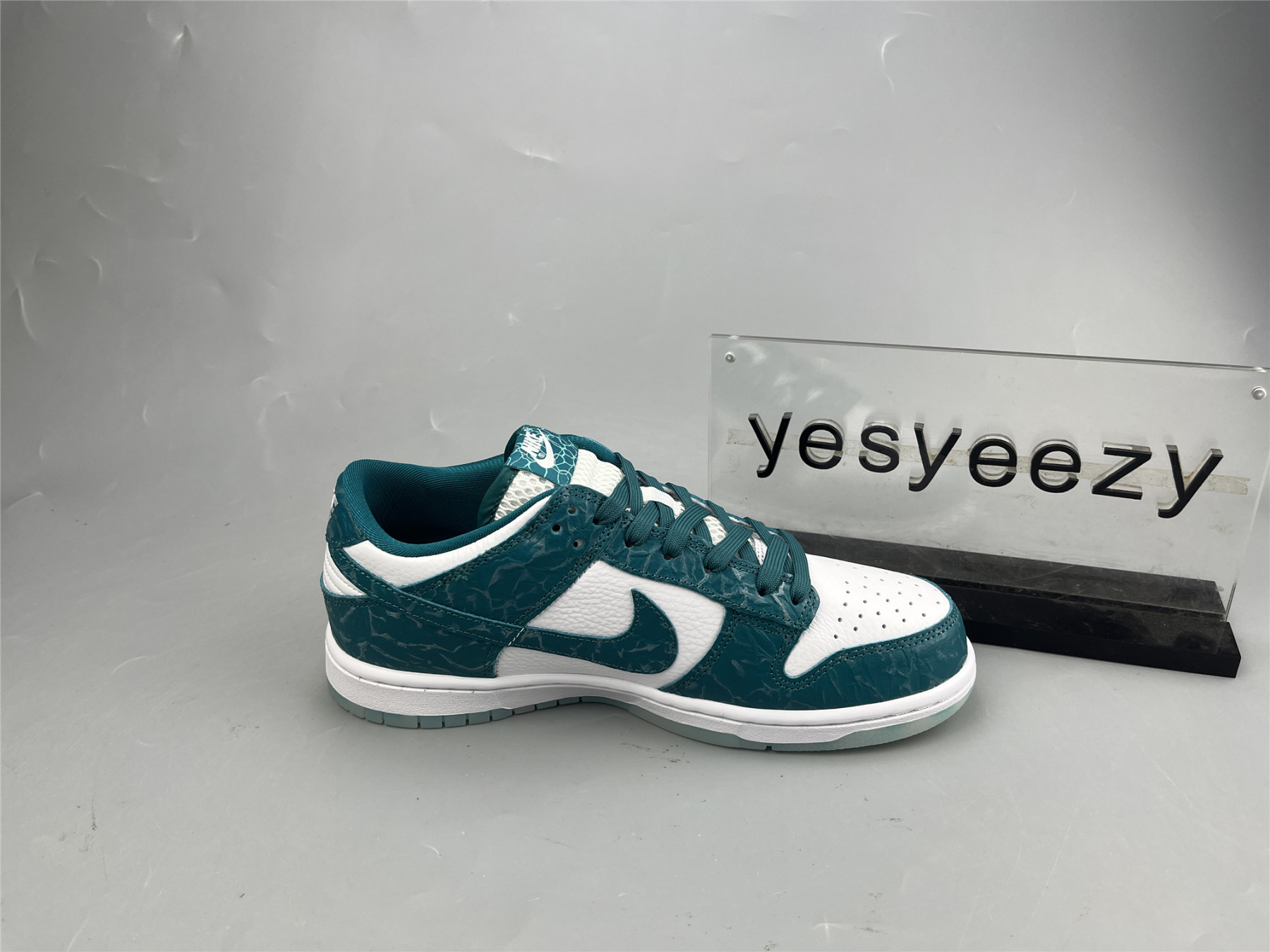 UA NIKE WMNS DUNK LOW 