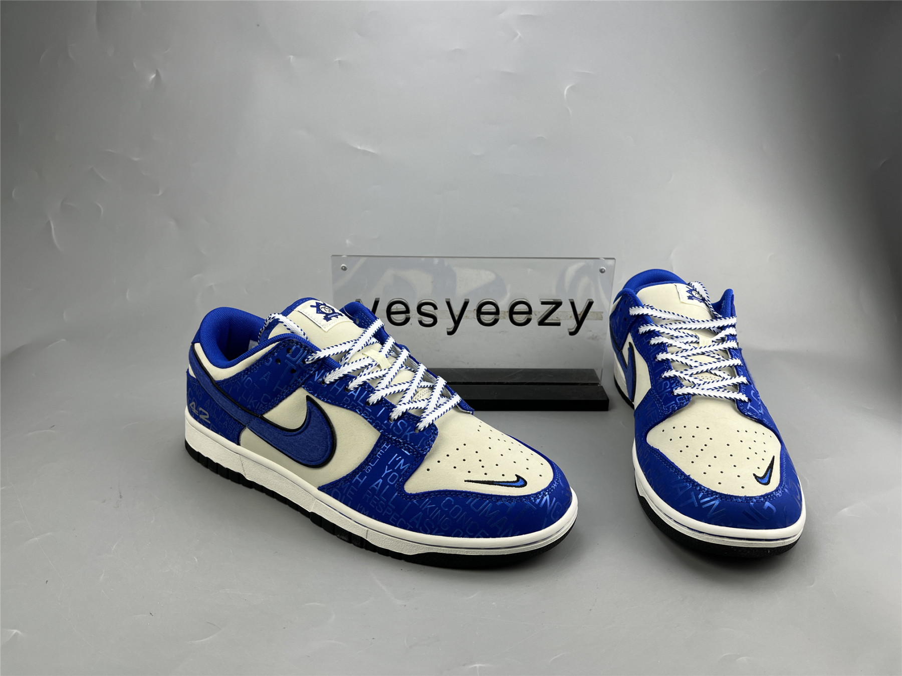UA NIKE DUNK LOW GS 