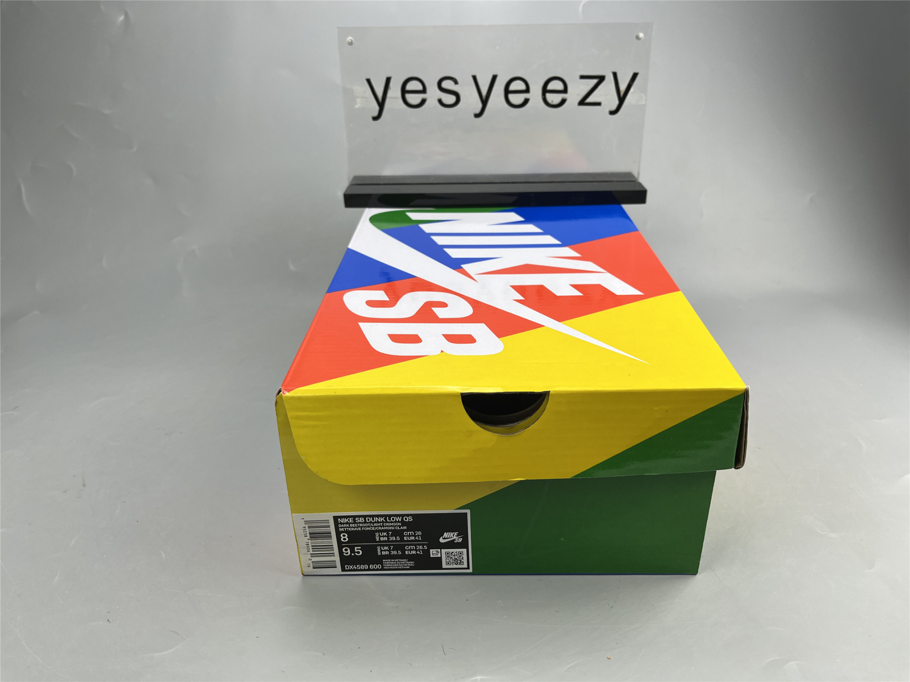 UA NIKE SKATE LIKE A GIRL X DUNK LOW SB