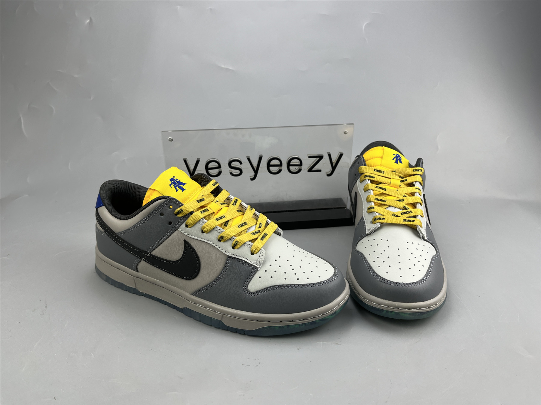 UA NIKE NORTH CAROLINA A&T STATE X DUNK LOW