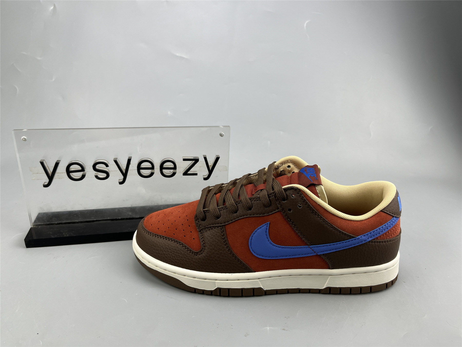 UA NIKE DUNK LOW PREMIUM 