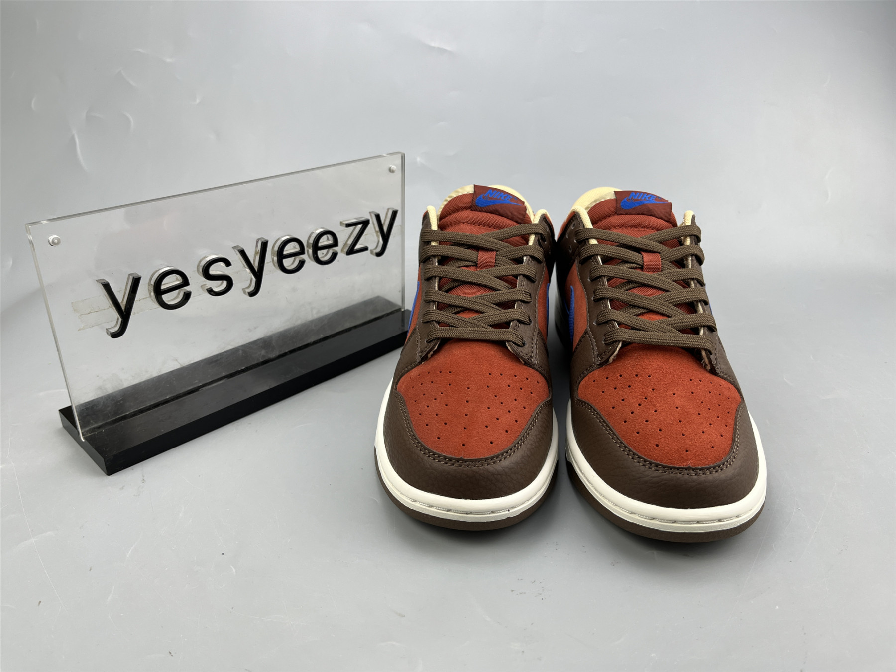 UA NIKE DUNK LOW PREMIUM 