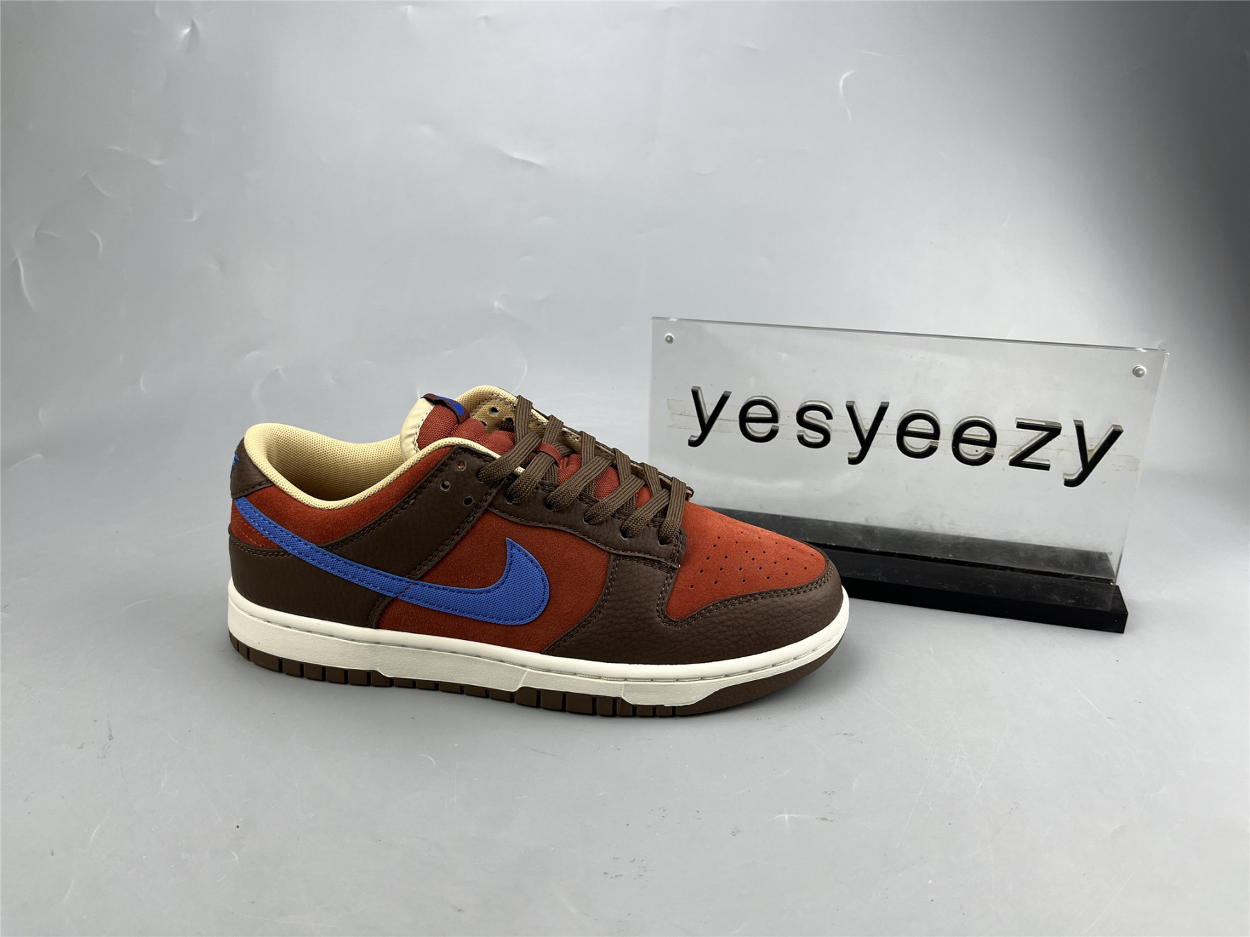 UA NIKE DUNK LOW PREMIUM 