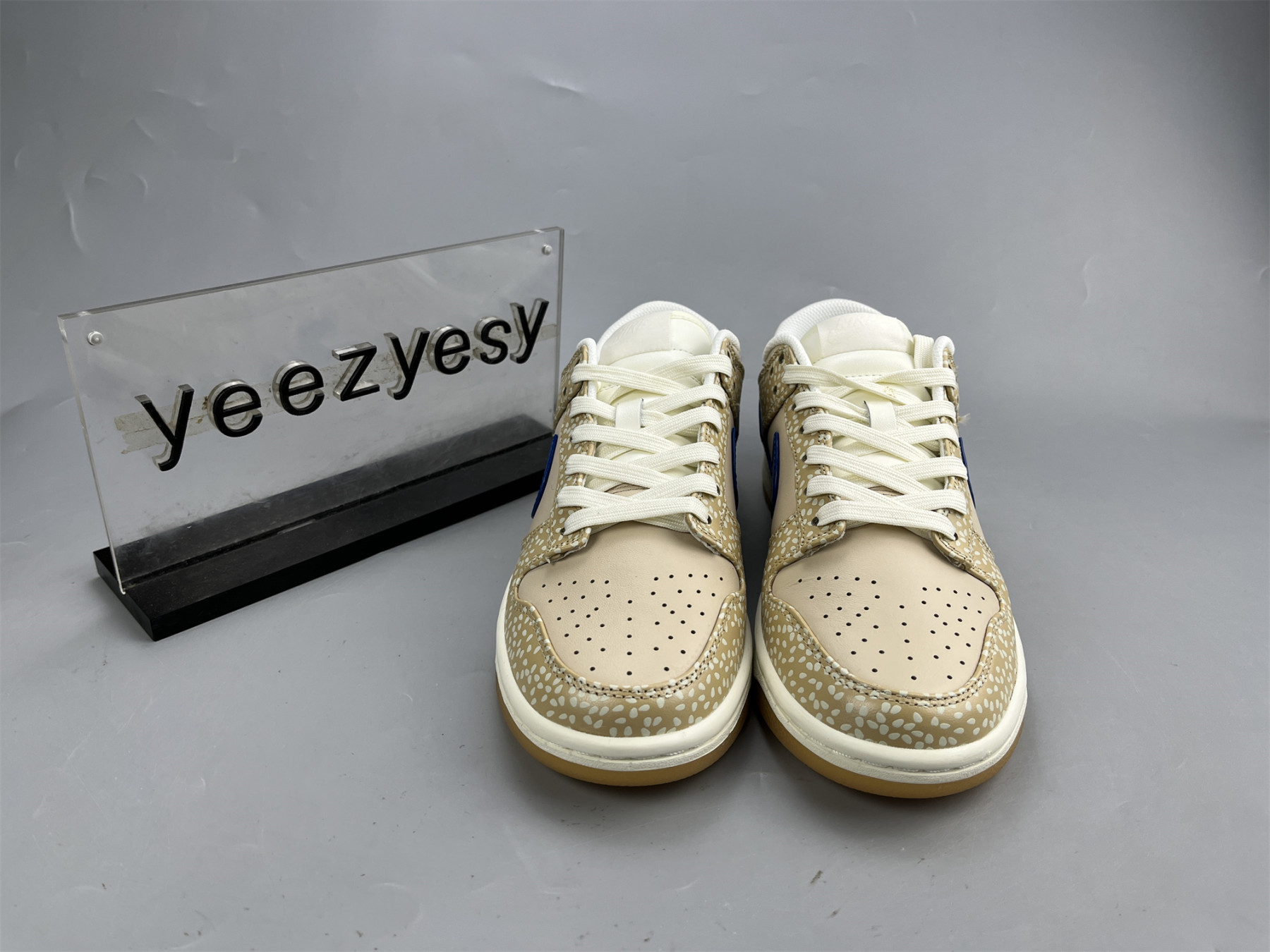 UA NIKE DUNK LOW PREMIUM 