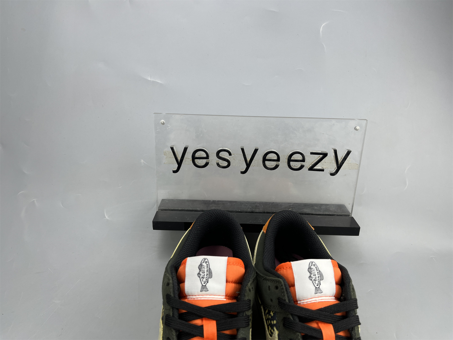 UA NIKE DUNK LOW PRO SAFARI