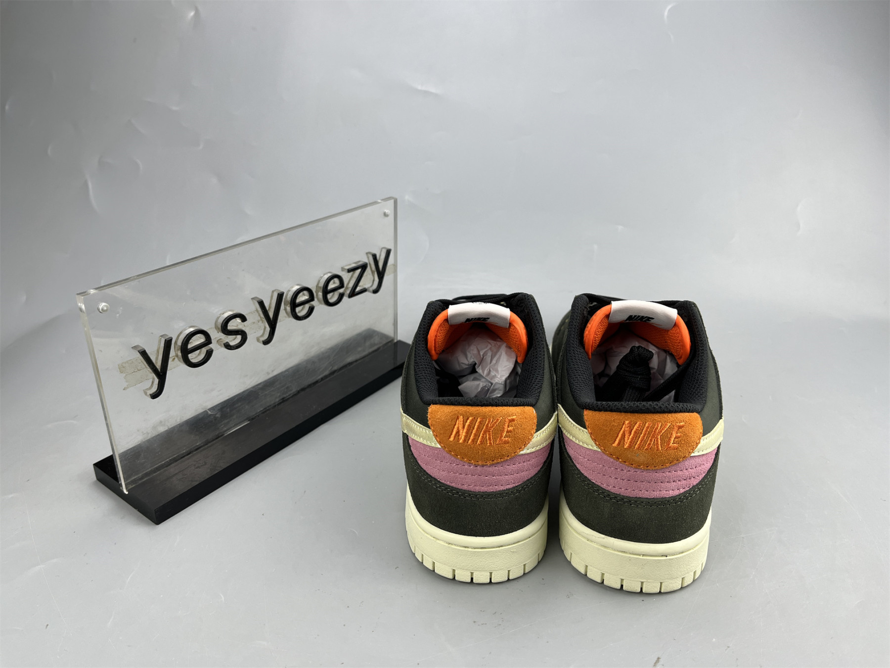 UA NIKE DUNK LOW PRO SAFARI