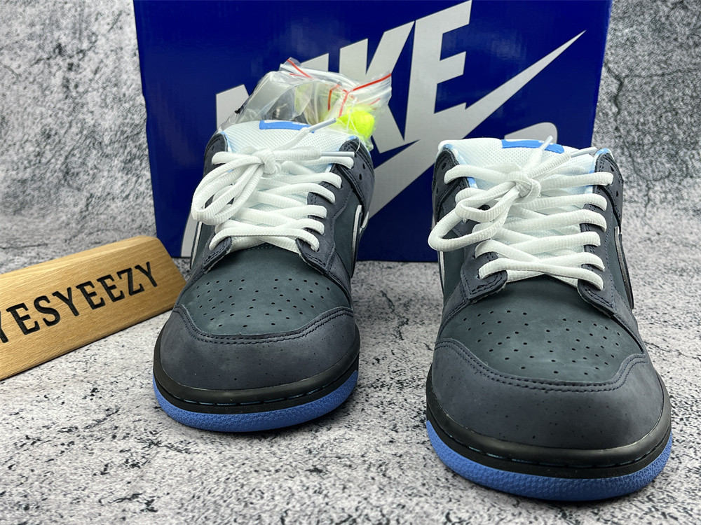 UA NIKE DUNK LOW PREMIUM SB 