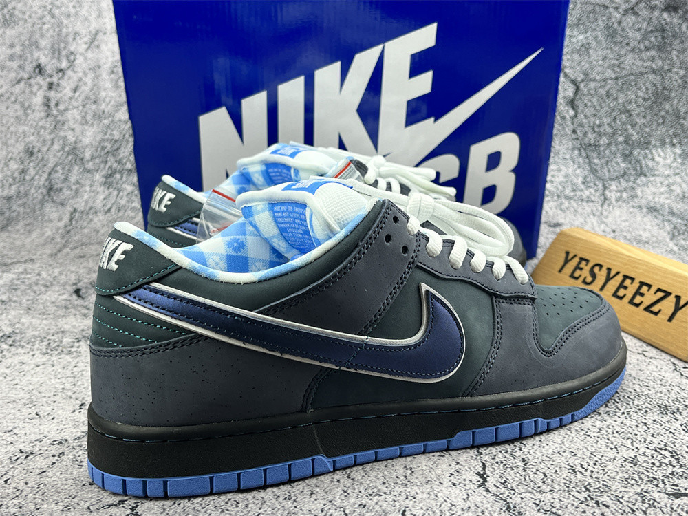 UA NIKE DUNK LOW PREMIUM SB 