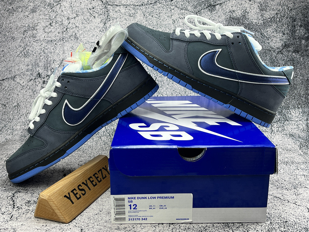 UA NIKE DUNK LOW PREMIUM SB 