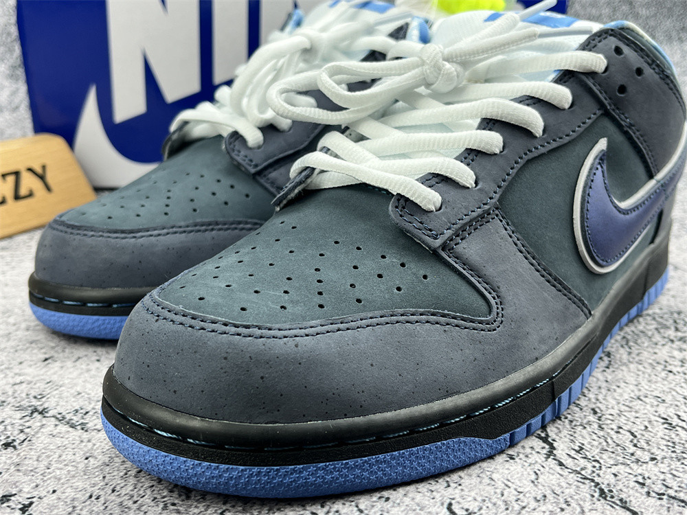 UA NIKE DUNK LOW PREMIUM SB 