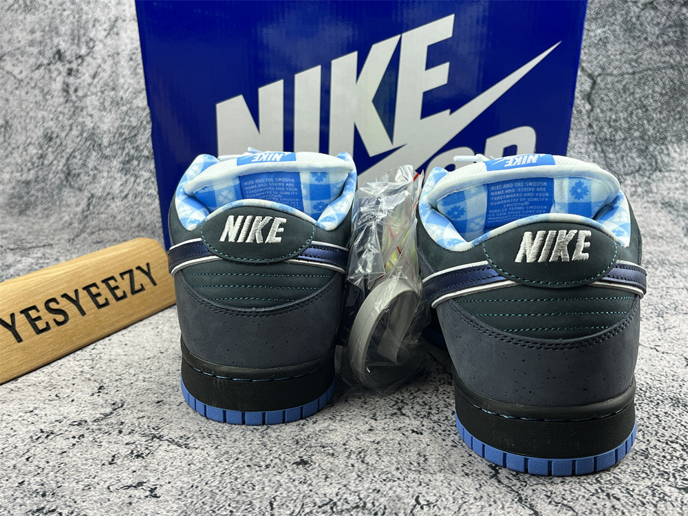 UA NIKE DUNK LOW PREMIUM SB 