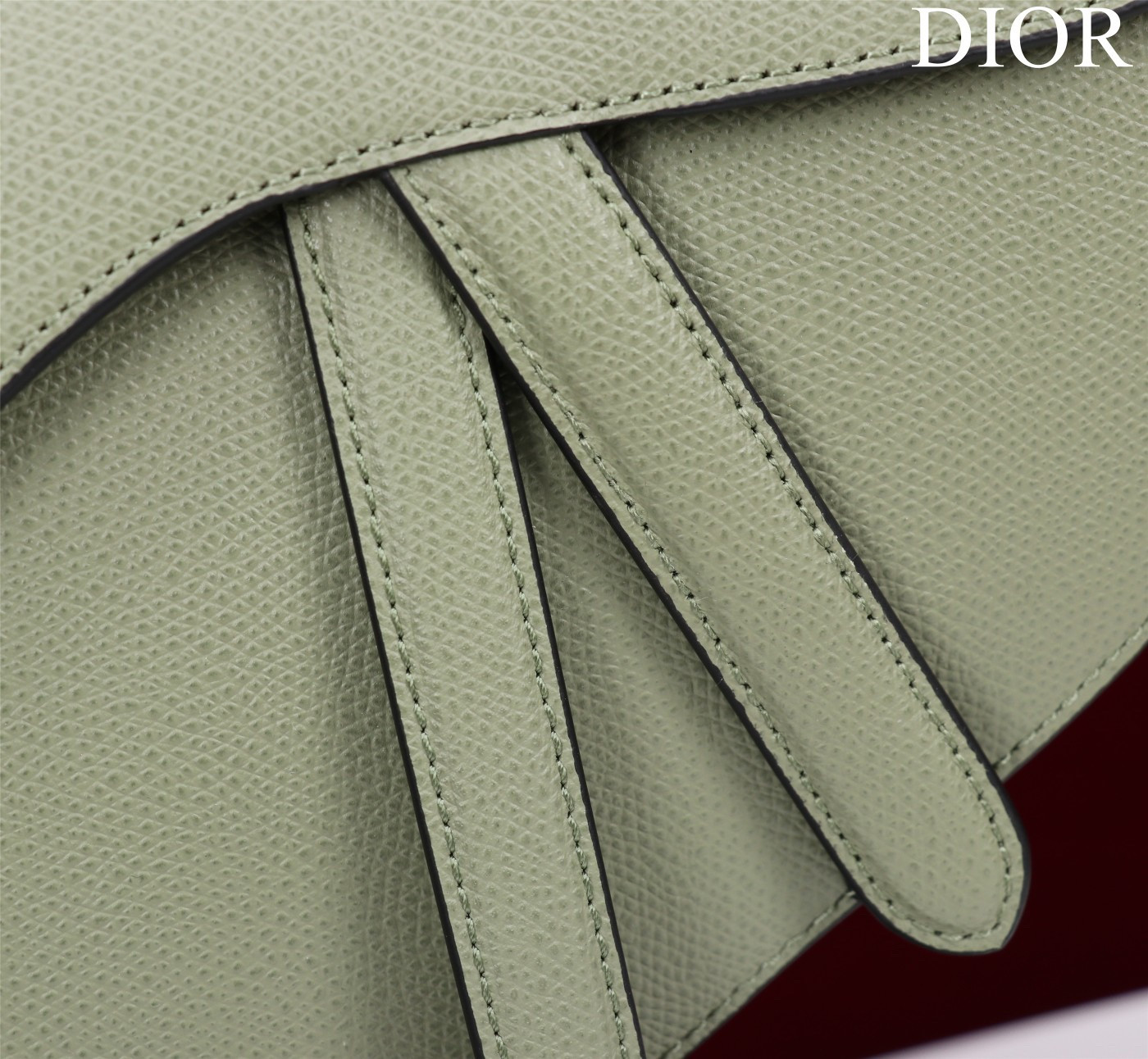 D10r Saddle Bag Grained Calfskin 25.5x20x6.5cm