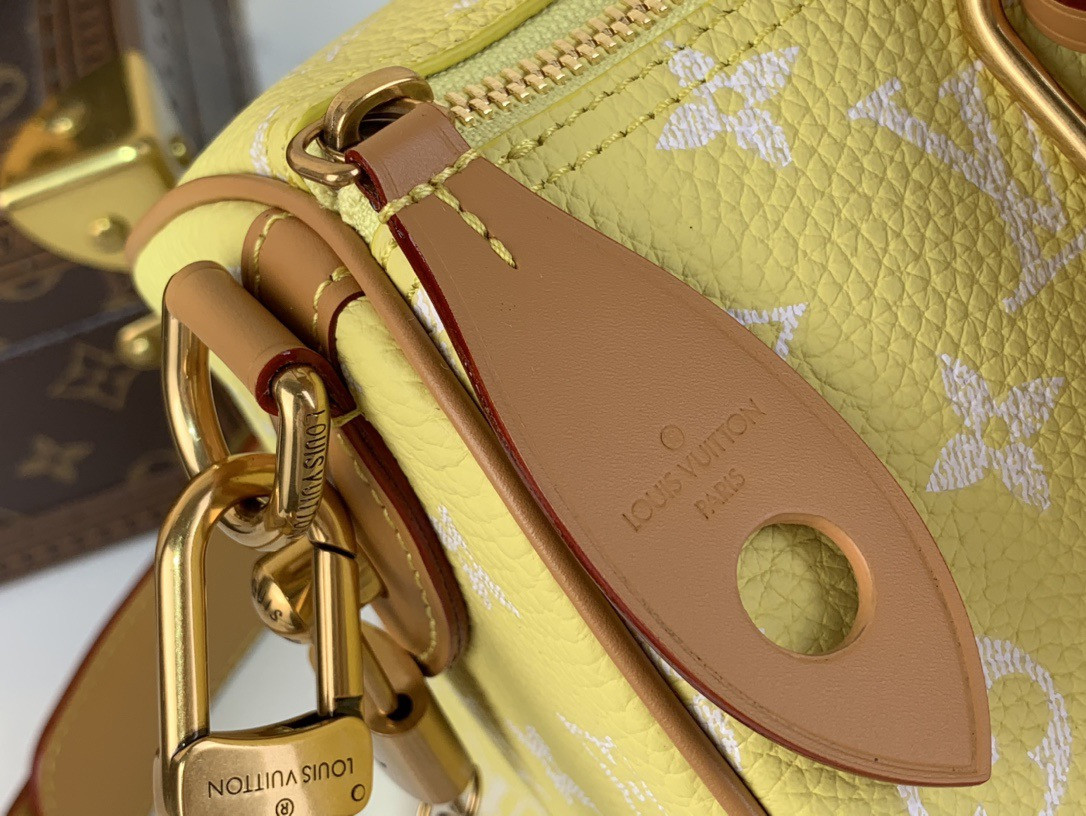 LV SPEEDY BANDOULIÈRE25 M13902