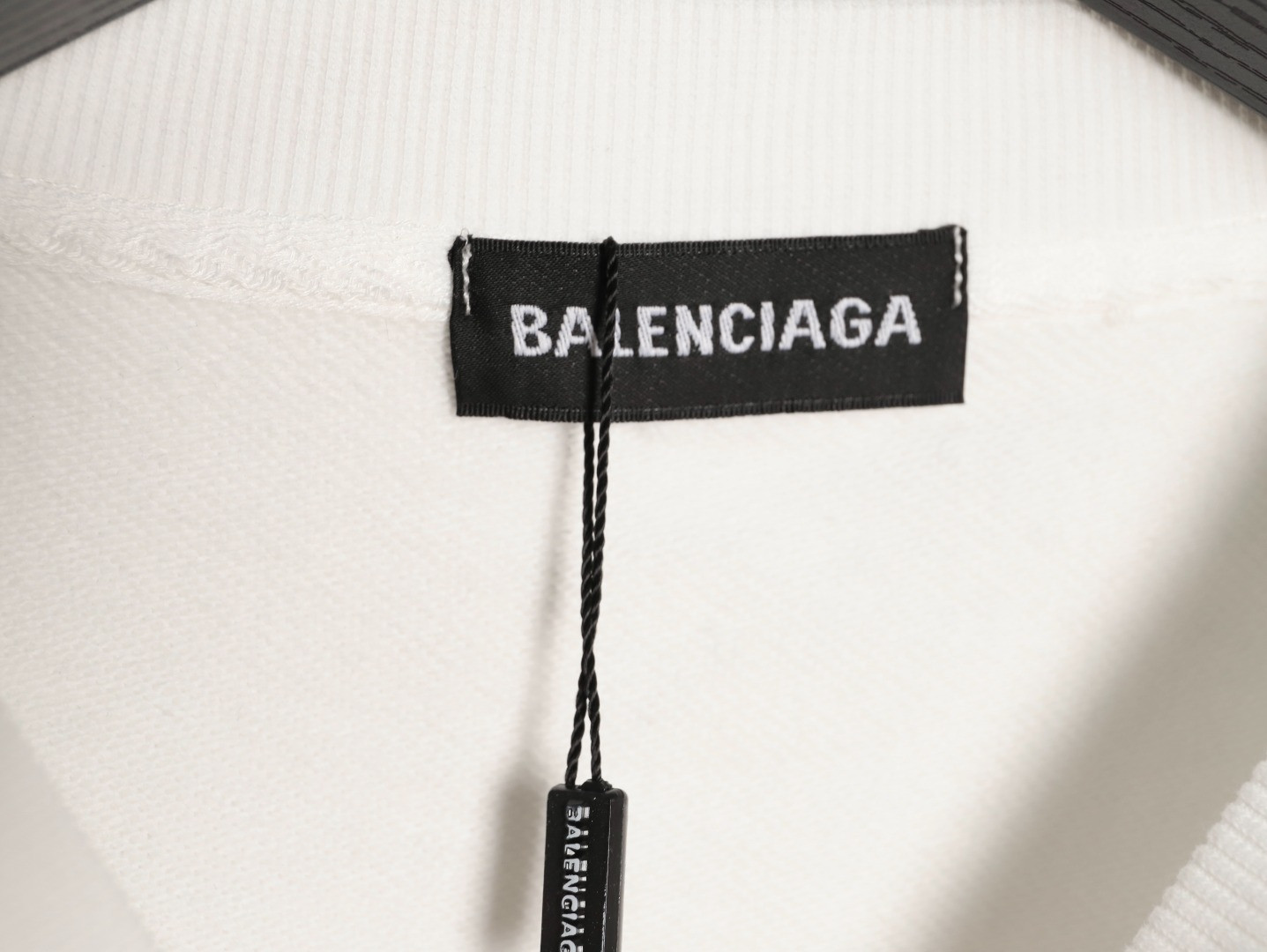 Ba1en*iaga 25FW Hoodies