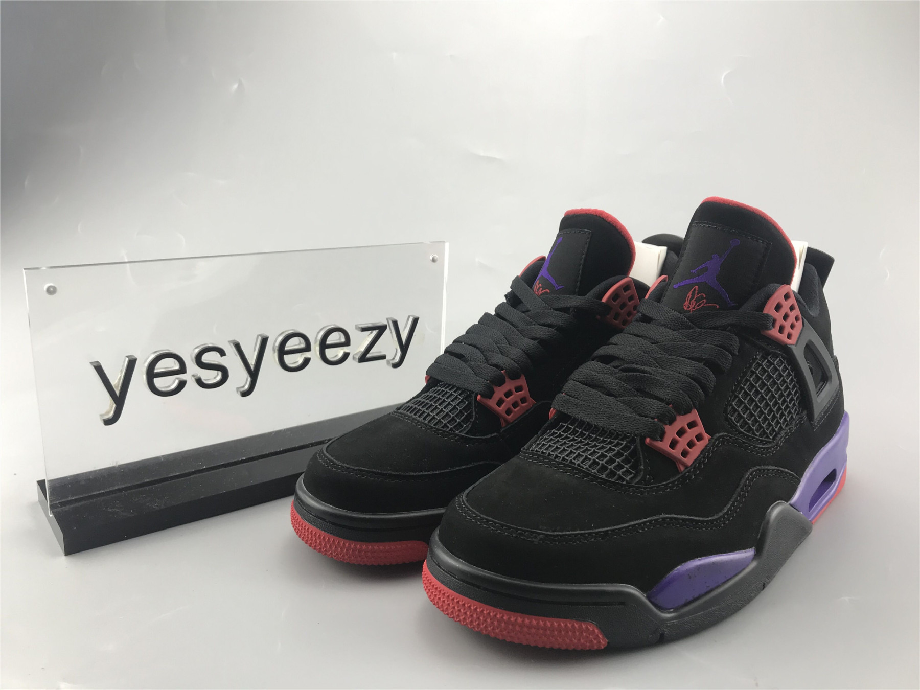 UA AIR JORDAN 4 RETRO NRG "RAPTOR - DRAKE SIGNATURE"