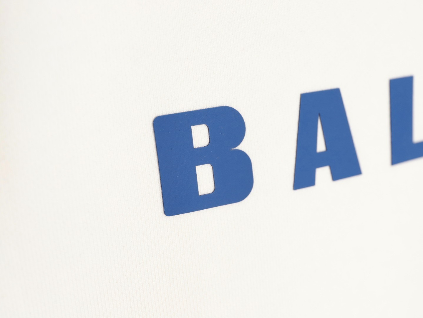 Ba1en*iaga 25FW Hoodies