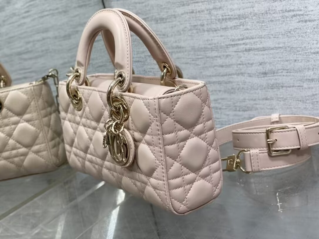 D10r small lady d-joy bag 22x6x12cm
