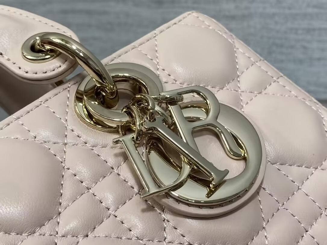 D10r small lady d-joy bag 22x6x12cm