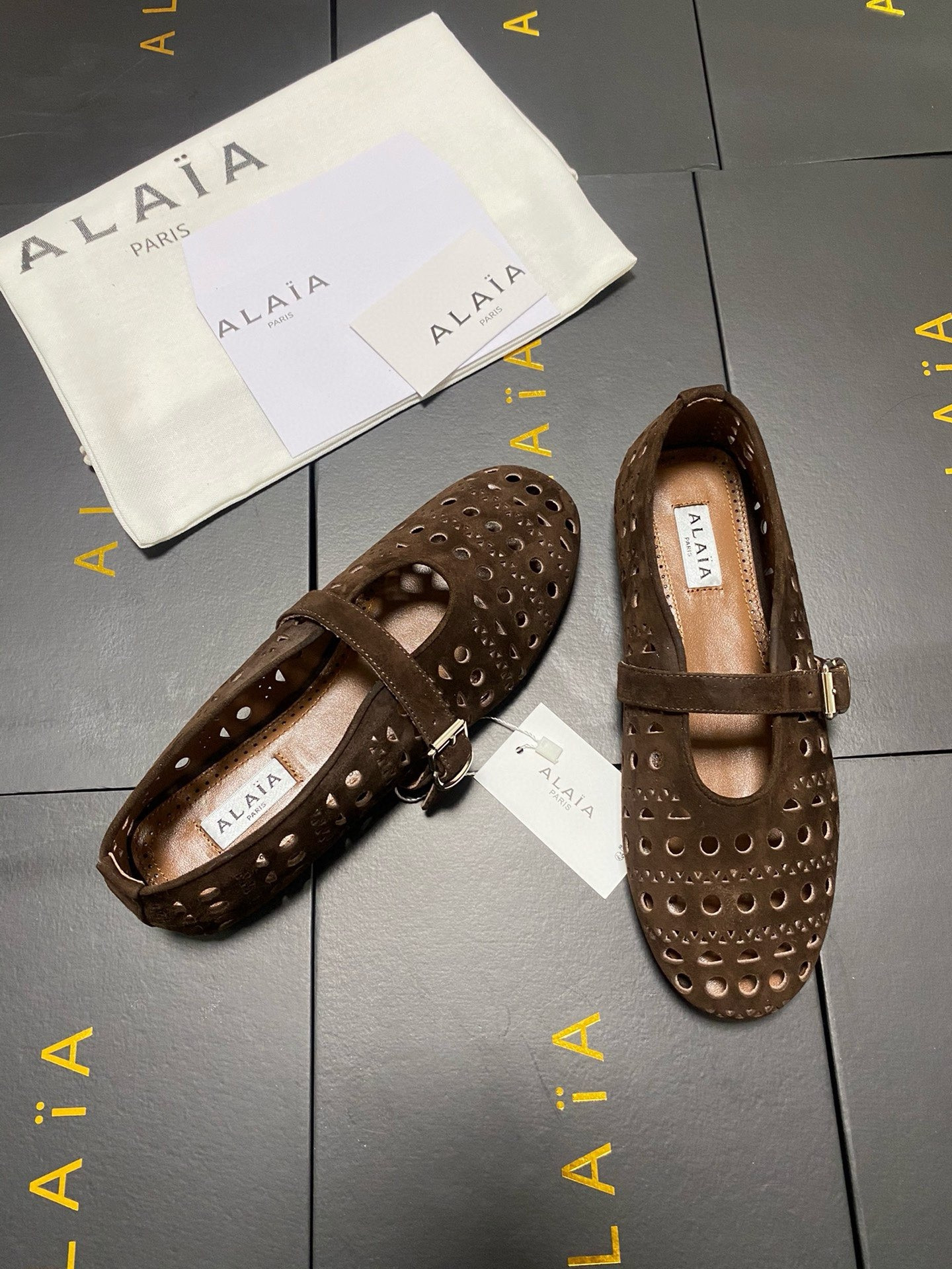 UA ALAÏA Vienne BALLET FLATS
