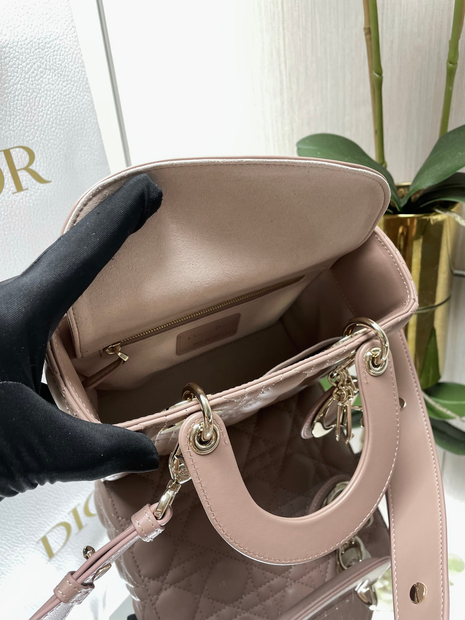 Small Lady D10r My ABCD10r Bag Blush 8 x 6.5 x 3 inches