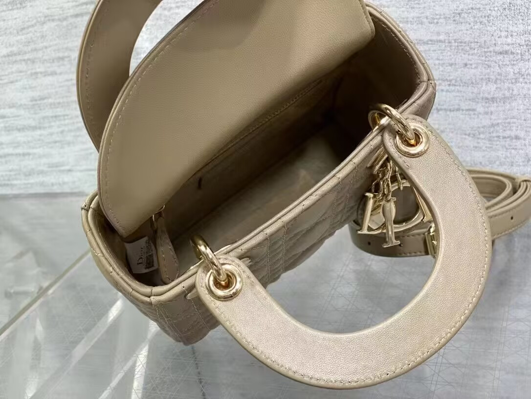 MINI LADY D10r BAG 17x7x15cm