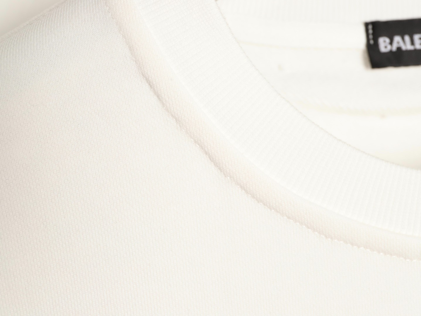 Ba1en*iaga 25FW Hoodies