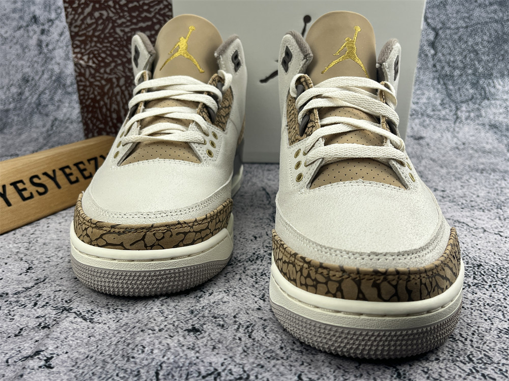 UA AIR JORDAN 3 RETRO 