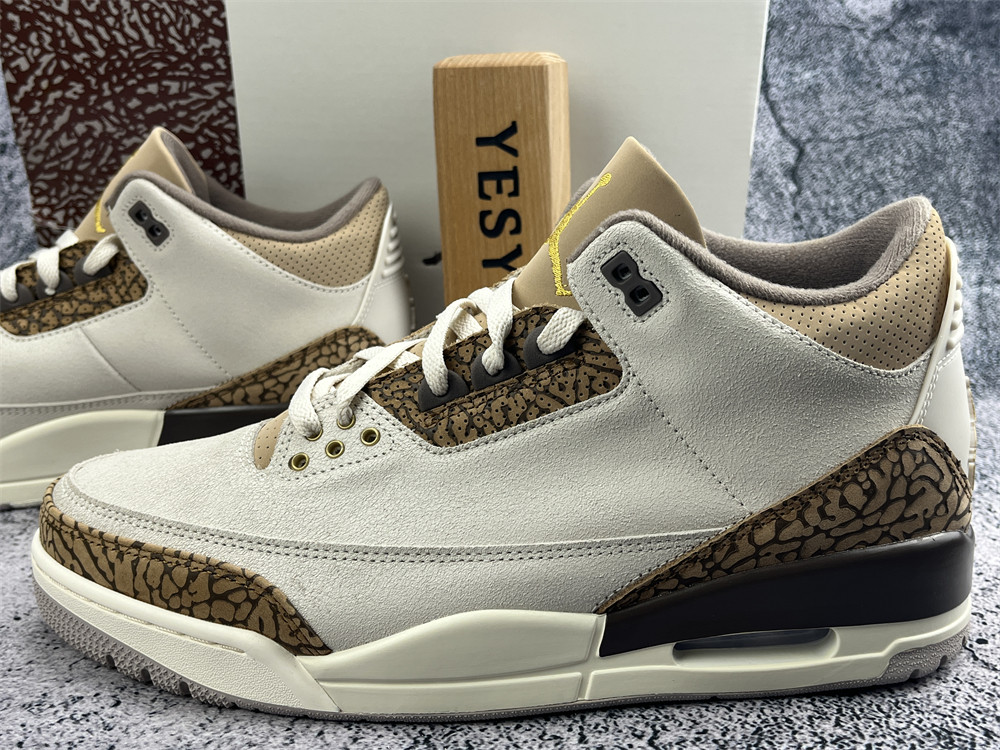 UA AIR JORDAN 3 RETRO 