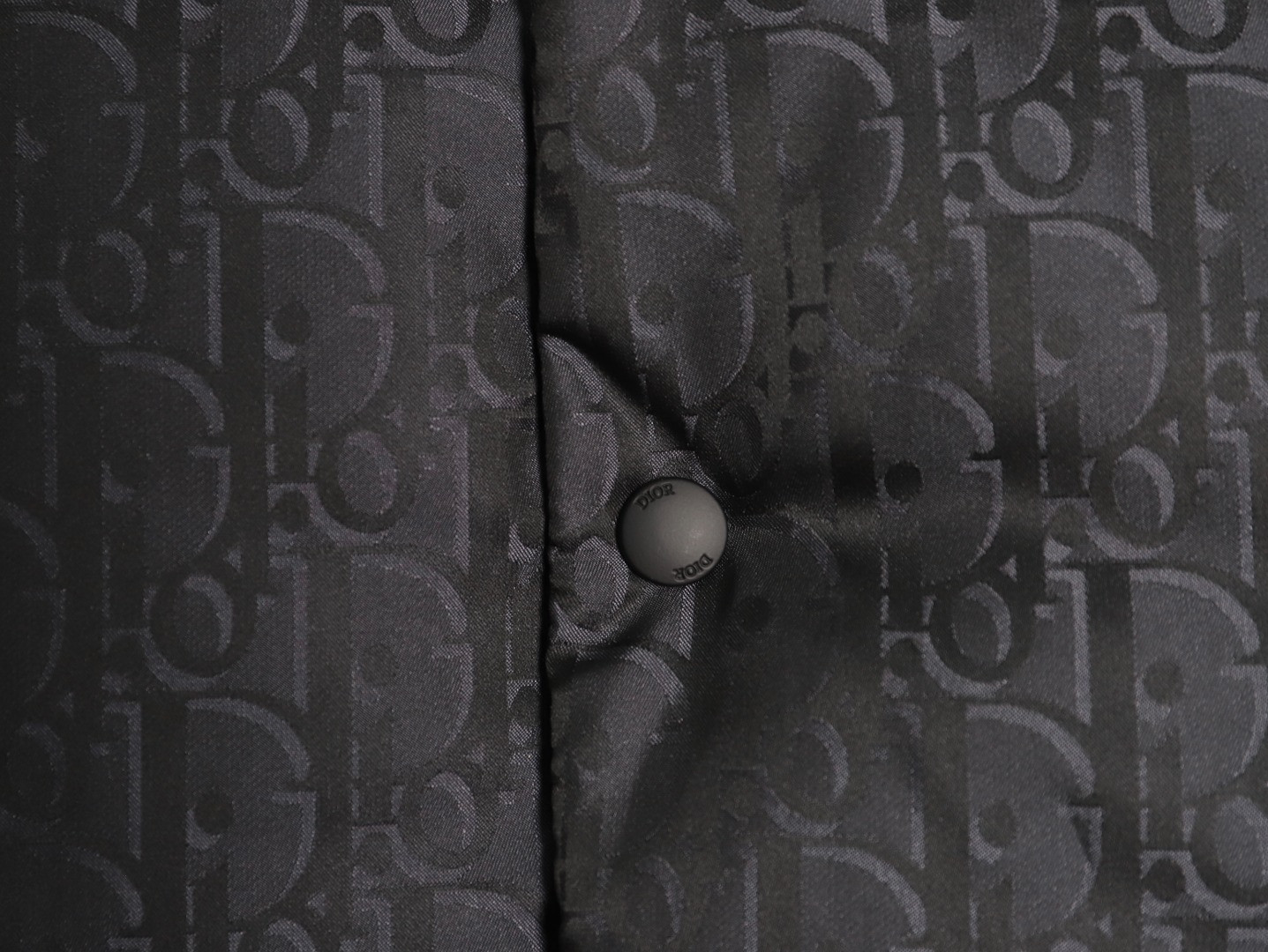 D10r 25Fw Puffer Vest