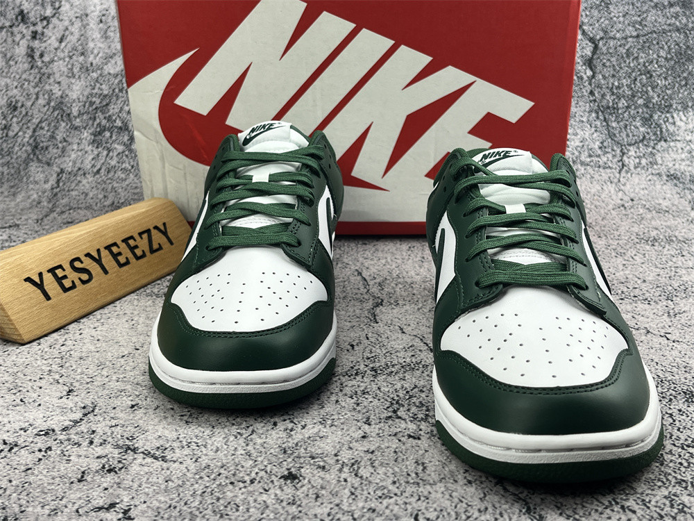UA NIKE DUNK LOW 