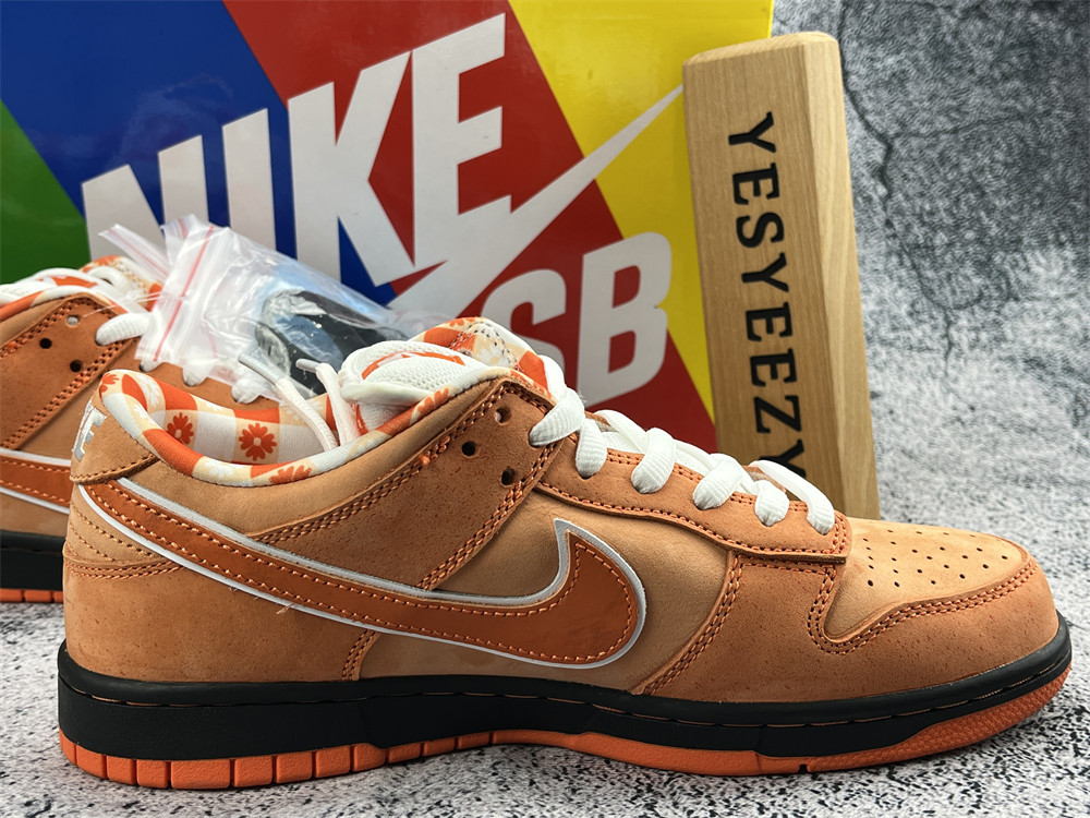 UA NIKE CONCEPTS X DUNK LOW SB 