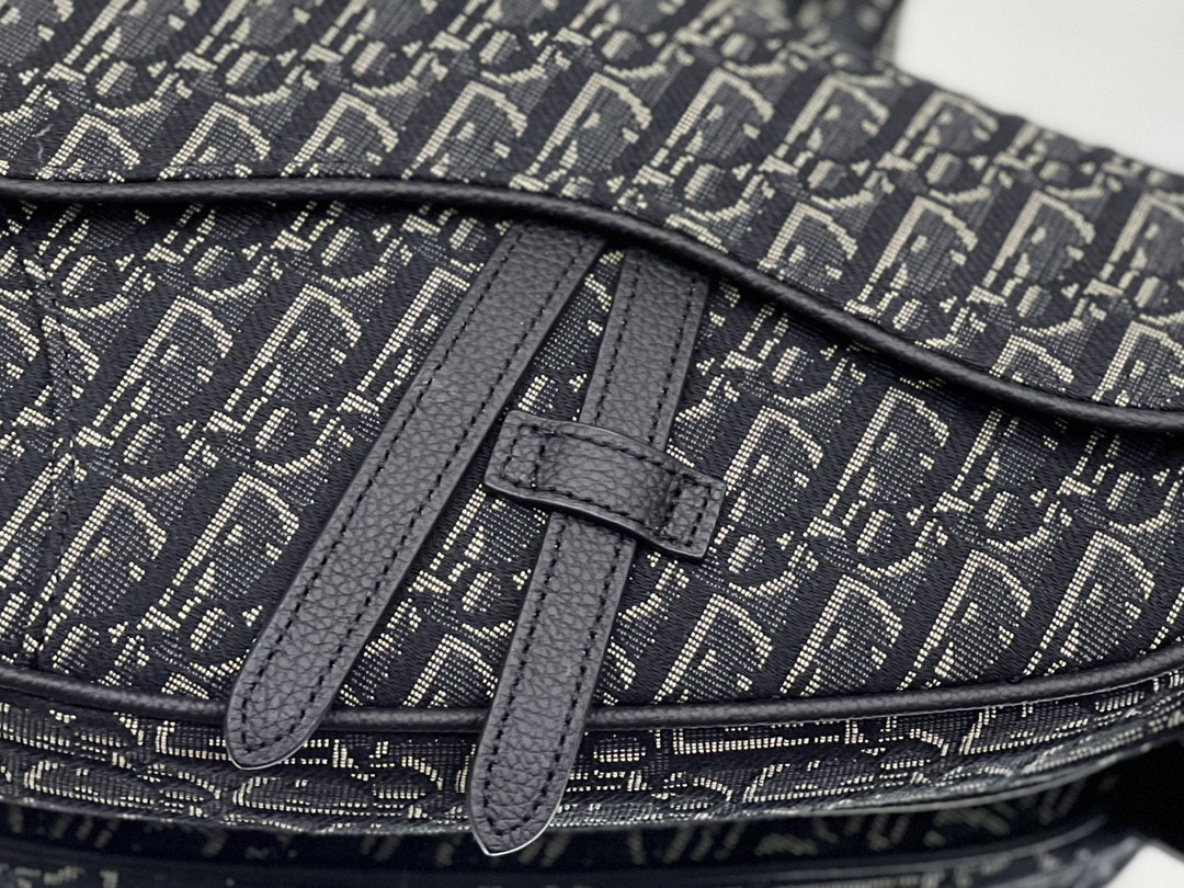 Chr1st1an D10r Saddle Crossbody Bag Oblique Canvas 26 x 19 x 4.5 cm