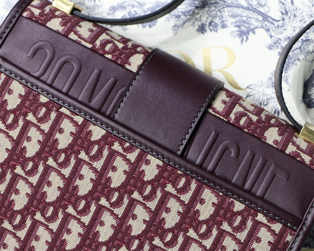 D10r 30 MONTAIGNE CHAIN BAG ROSERED 24x18x8 cm